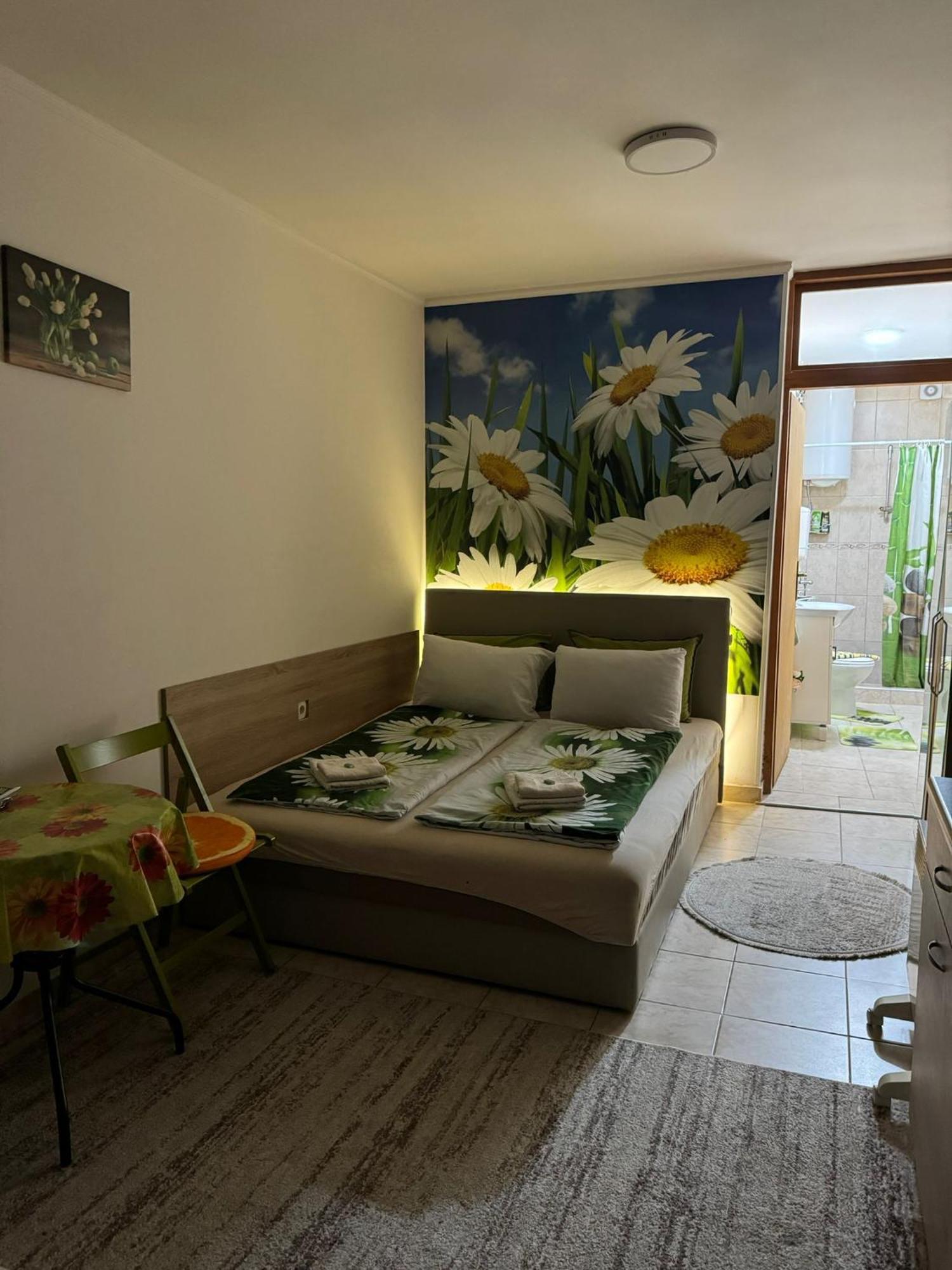 Nela Apartmani Ниш Екстер'єр фото