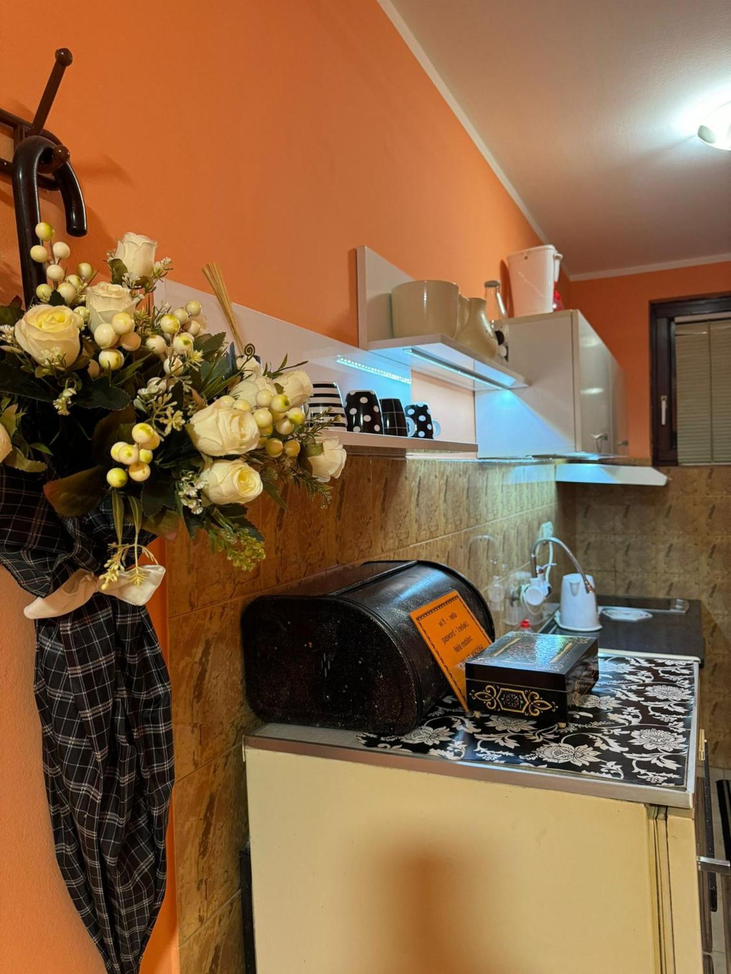Nela Apartmani Ниш Екстер'єр фото