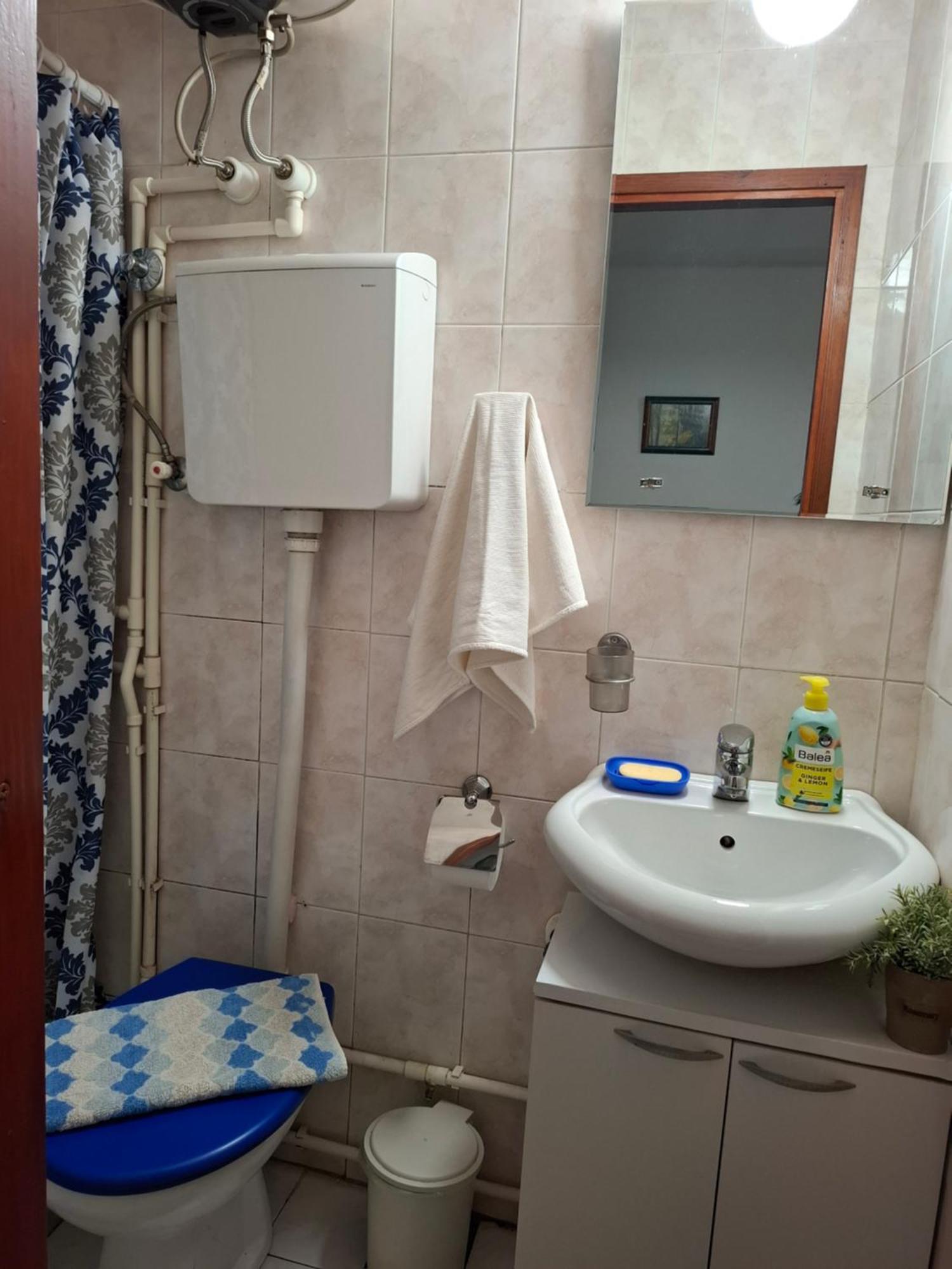 Nela Apartmani Ниш Екстер'єр фото